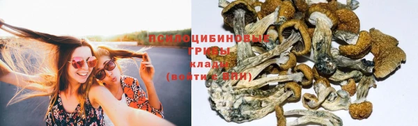 PSILOCYBIN Алексеевка