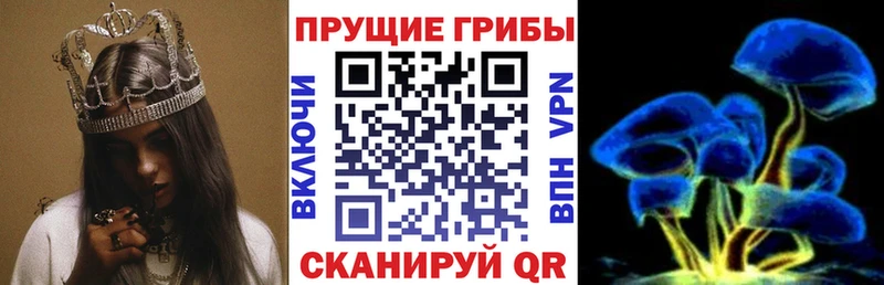 купить наркоту  дарк нет клад  Псилоцибиновые грибы ЛСД  Калач-на-Дону 