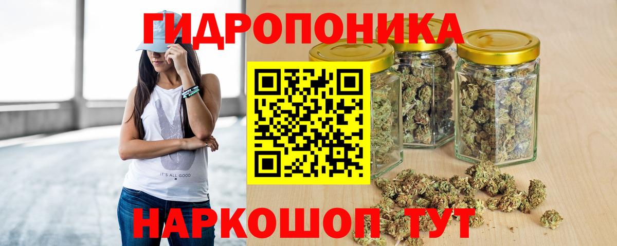 Каннабис сатива Калач-на-Дону